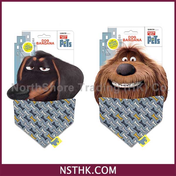 Bandana (F0748-Boy)